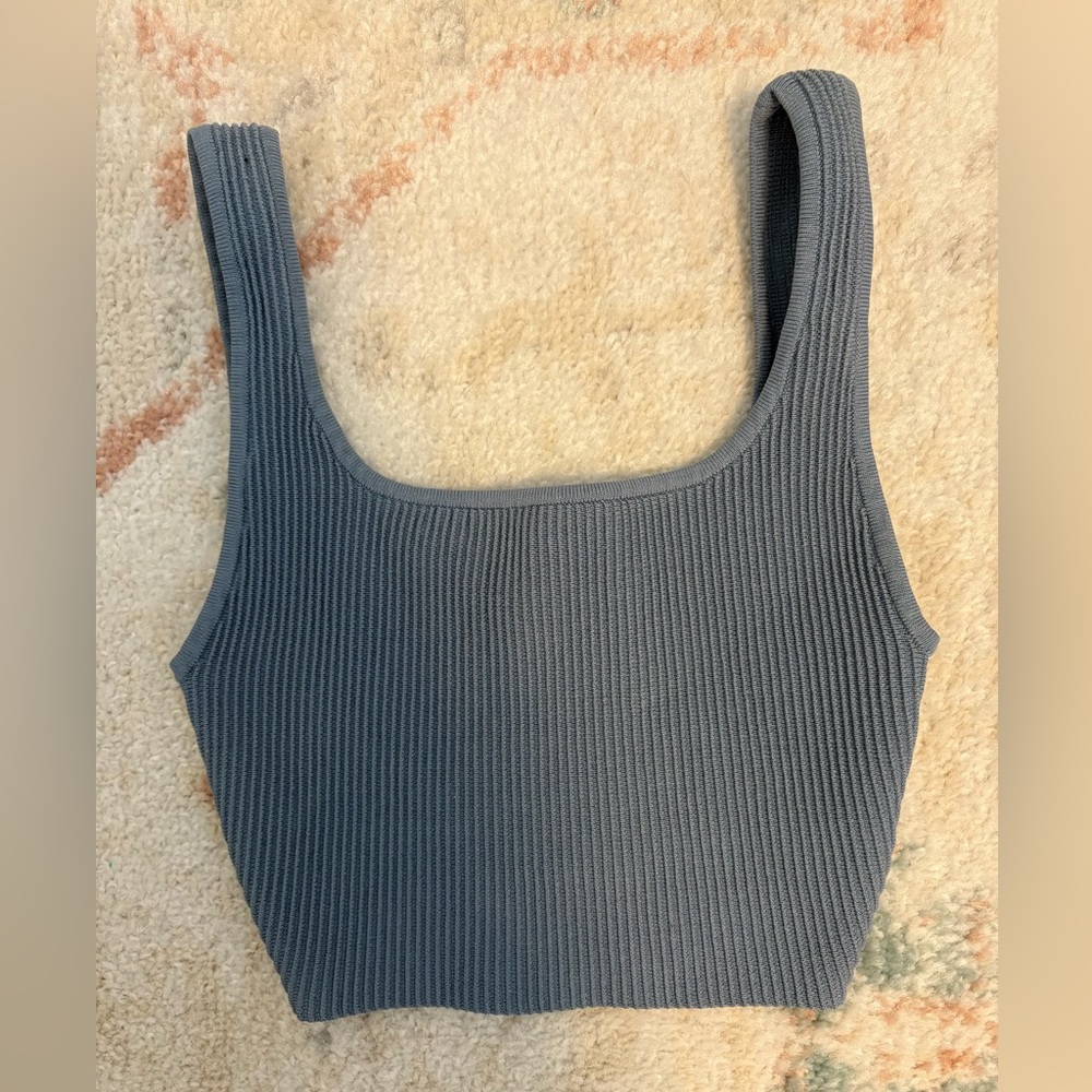 Aritzia contour cropped tank — blue
